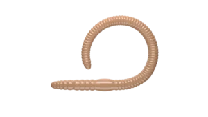 17FLEX-WORM-kolor-035-PELLETS