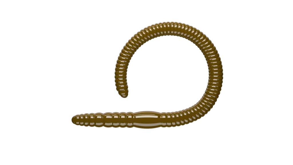 19FLEX-WORM-kolor-038-BROWN