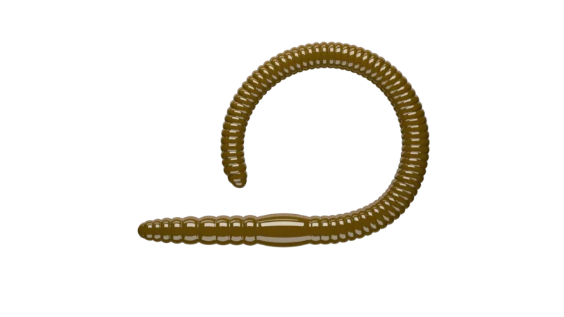 19FLEX-WORM-kolor-038-BROWN